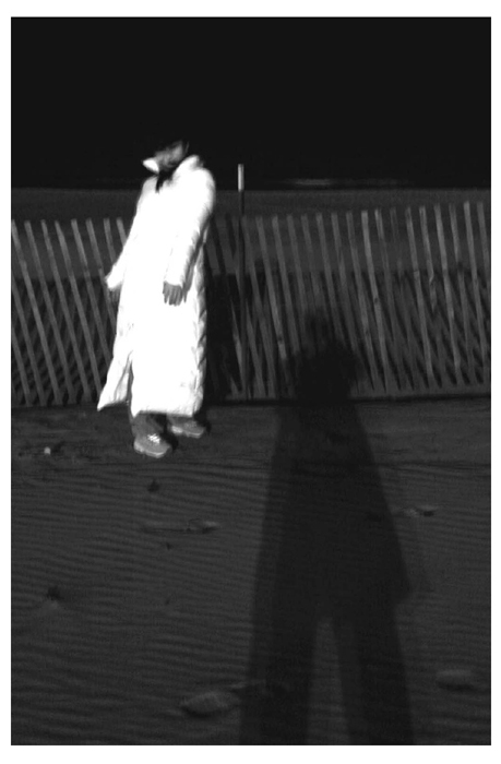 Ghosts On Da Beach