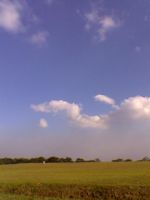 Blue skies