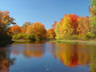 Autumn In New England