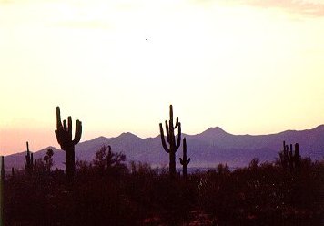 sonora5.jpg