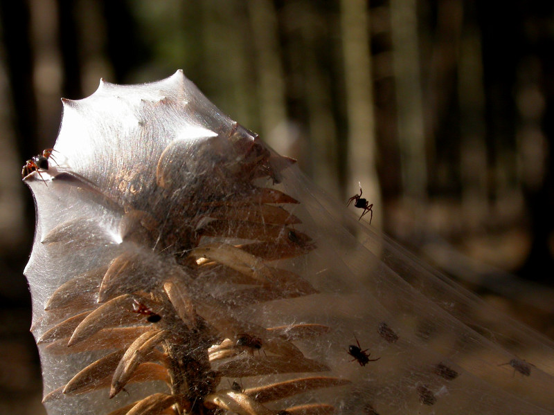 DSCN2029.JPG