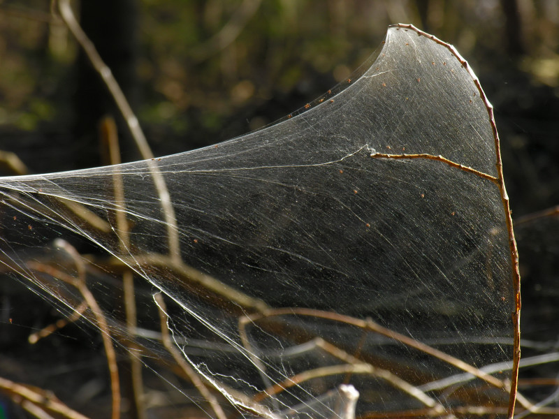 DSCN2096.JPG