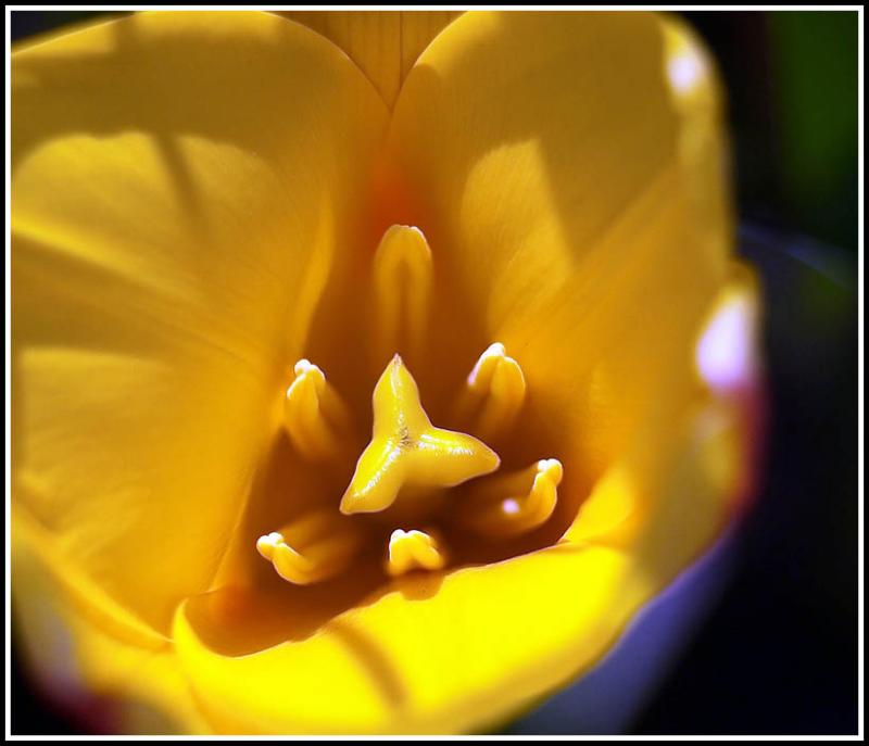 Macro2