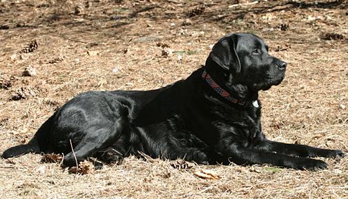 CRW_5581_RJ.JPG