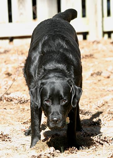 CRW_5610_RJ.JPG