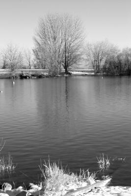 _MG_8209-BW-JPG.jpg