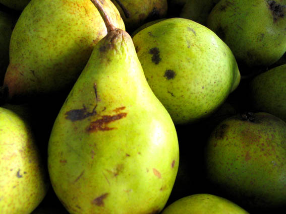 Pears