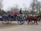 This seemed to be a popular mode of transportation. Carriage rides were sold out both days!