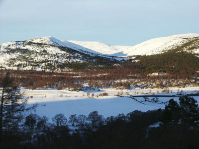 View North towards Morven from south side of River Dee