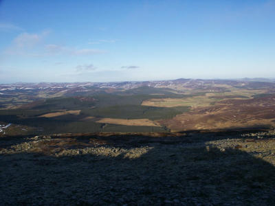 View from top looking north