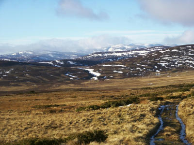 glimpse of Ben Avon