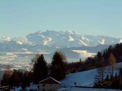 DSCF0042_2.jpg