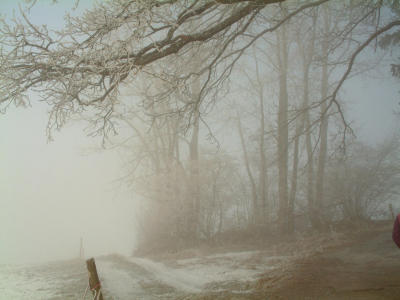 DSCF0075 Kopie.jpg
