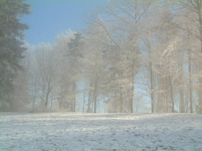 DSCF0081 Kopie.jpg