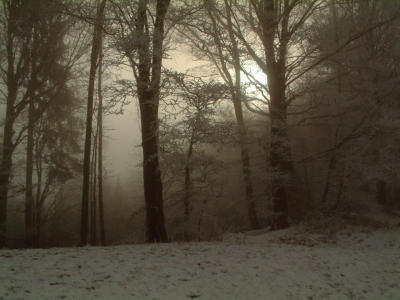 DSCF0100 Kopie.jpg