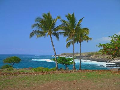 Lapakahi State Park #2