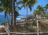 Lapakahi State Park #1