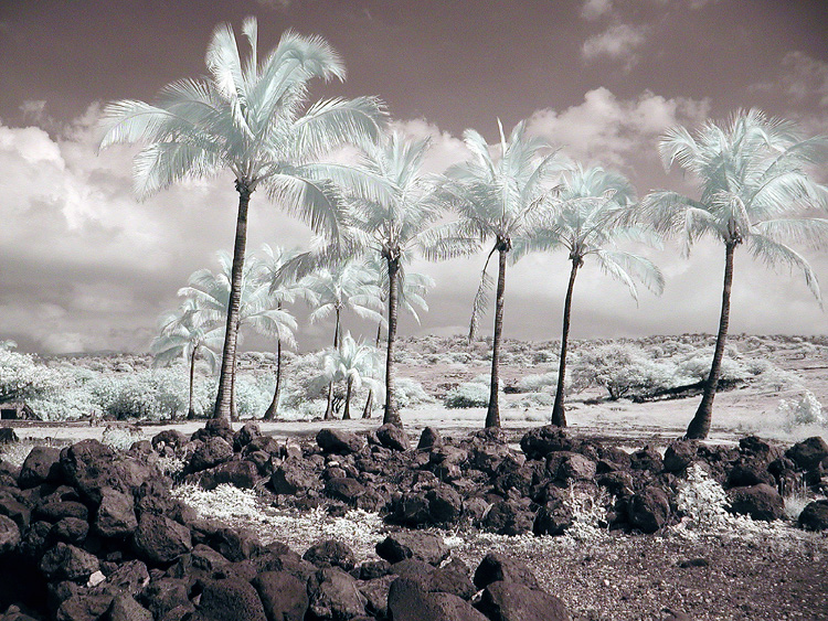 Lapakahi State Historical Park #6