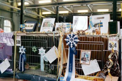  Scandinavien Winner 2003