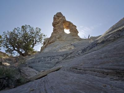 Julias-Arch3-upload.jpg