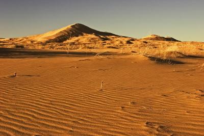 Kelso-Dunes2-upload.jpg