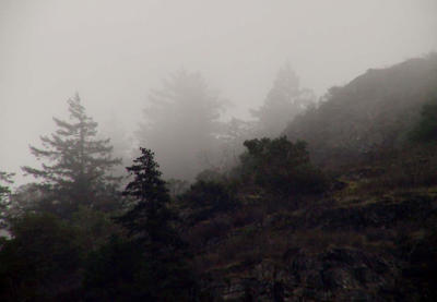Foggy hillside 2.jpg