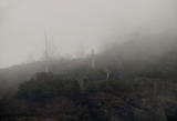 Foggy hillside.jpg