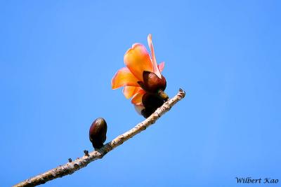 IMG_4396.jpg