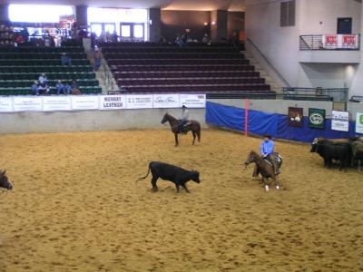 u5/xtranch/medium/37215228.cuttingtheherd.jpg