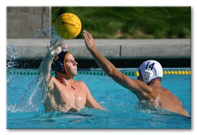 u5/zakooldude/medium/37085769.IMG_2262.jpg