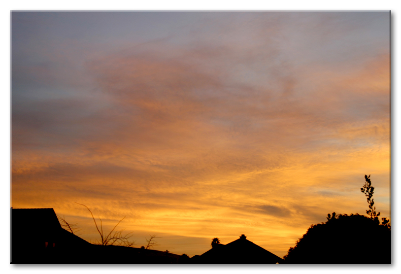 Sunrise from the back yard