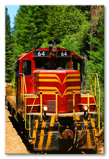 Skunk train