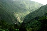 Pfeiffer Big Sur State Park