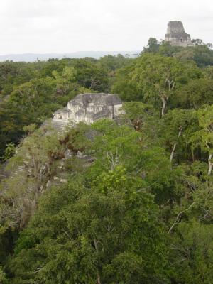 Tikal