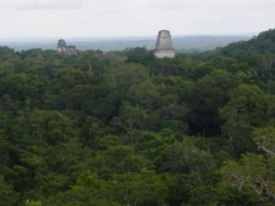 Guatemala (Tikal)