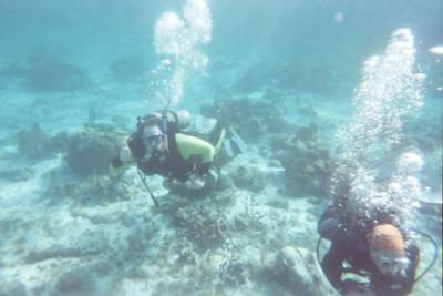 Diving off Barrier Reef
