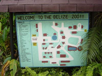 Belize Zoo