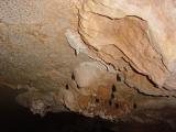 A dry cave (bats)