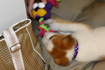 First Day Home - 198_9870.jpg
