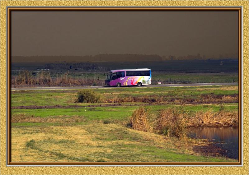 Birds Reservation in Hachula