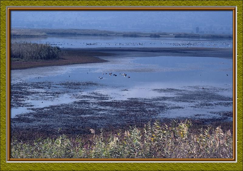 Again, marshlands of Hachula