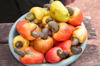 Caju fruit (cashews come from this fruit)