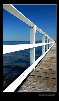DSC_0719a.jpg
