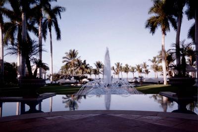 Fountain in Hawaii 2001