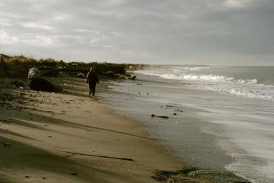 Beach in Olympic Pennisula