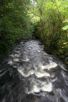 13_Ireland_2004.jpg