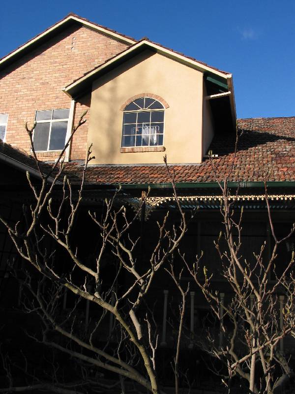 signals in the window