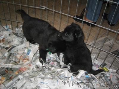 12/19/2004 - IMG_2386.JPG