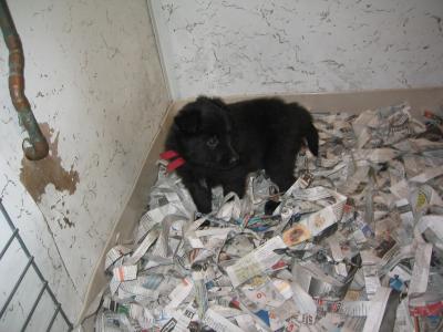 12/19/2004 - IMG_2389.JPG