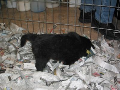 12/19/2004 - IMG_2406.JPG